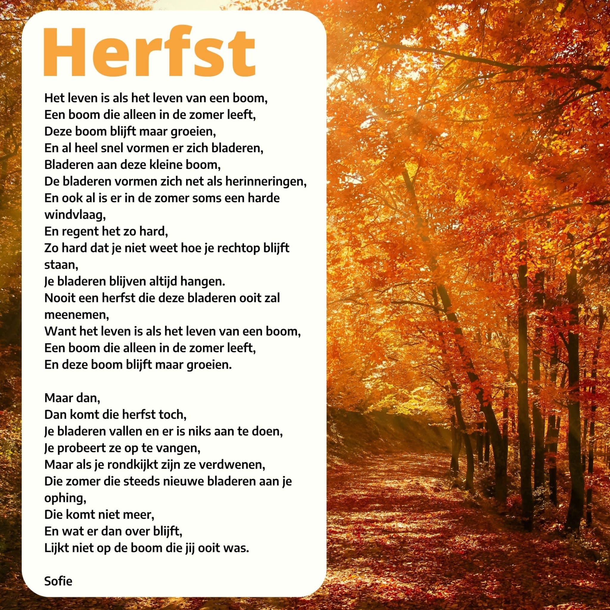 Gedicht Dementie